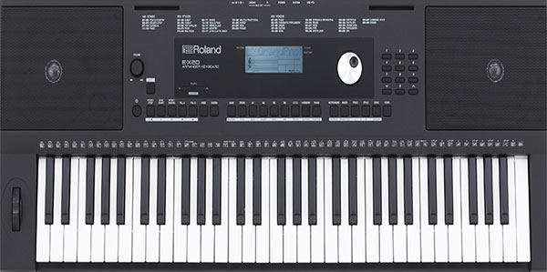 dan-organ-keyboard-roland-e-x20