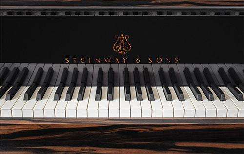 piano-steinway-kravitz-grand