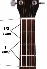 cung-va-nua-cung-guitar