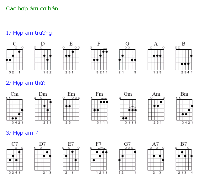 hop-am-guitar