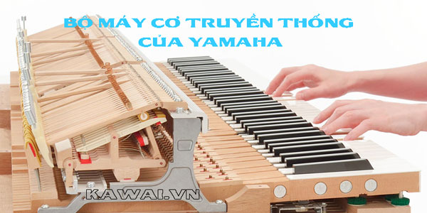 so sanh dan piano kawai va yamaha