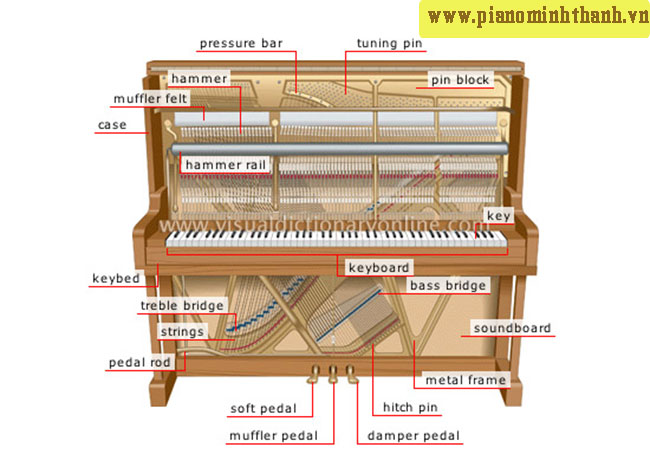 cau-tao-dan-piano-upright