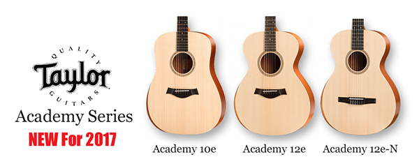 dan-guitar-taylor-academy-series