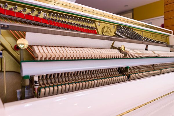 Kohler-Campbell-J310B