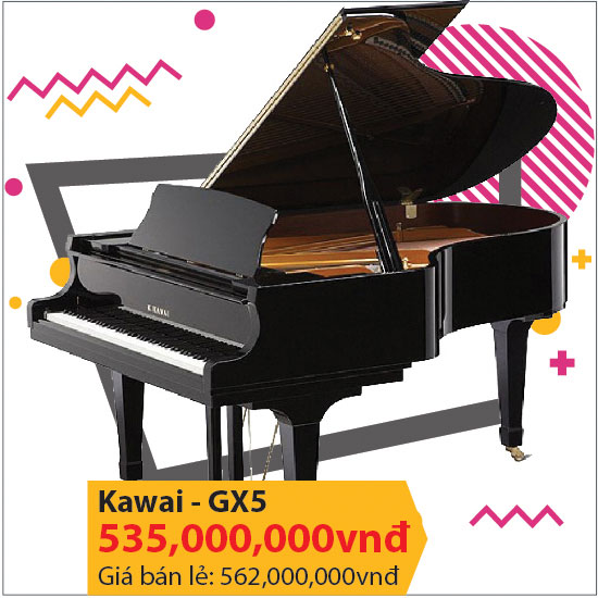 Kawai GX5