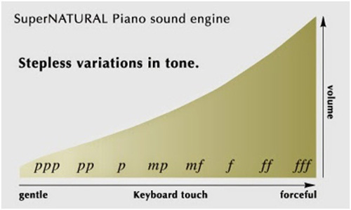 dan-piano-dien-roland-rp401r