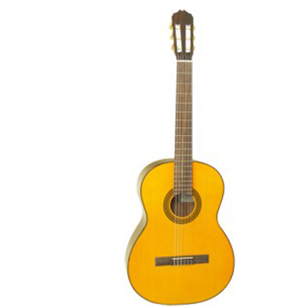 guitar classic Takamine D30