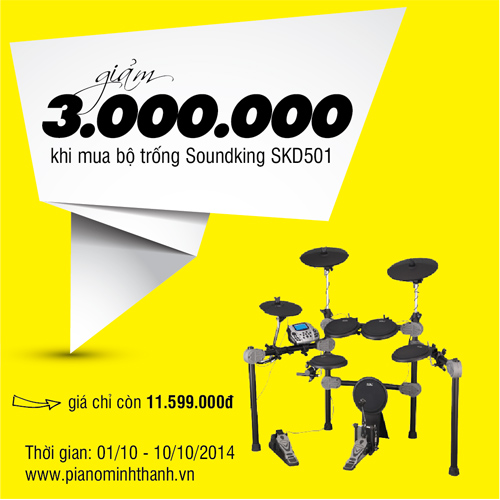trong dien tu soundking