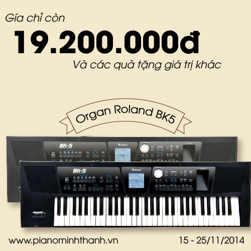 Nhạc cụ giảm giá sốc chào mừng 20/11