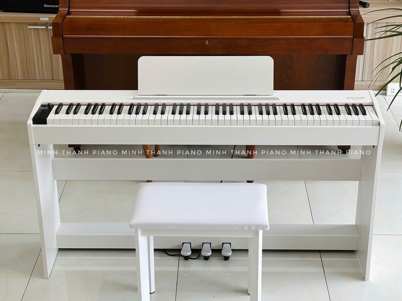 Đàn piano điện Acutis ADP-30 giá tốt tại Bảo Lộc