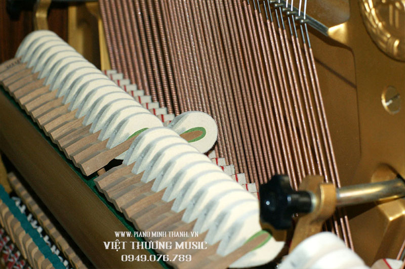 yamaha w10 giá tốt tại Bảo Lộc