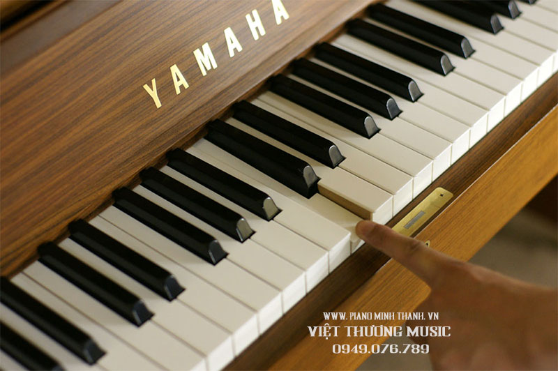 bán ​yamaha W101 tại Bảo Lộc