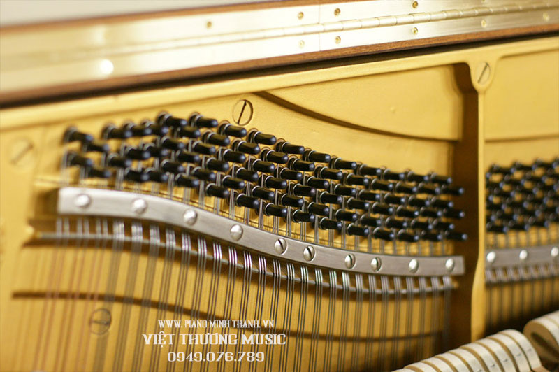 yamaha w101 giá bao nhiêu