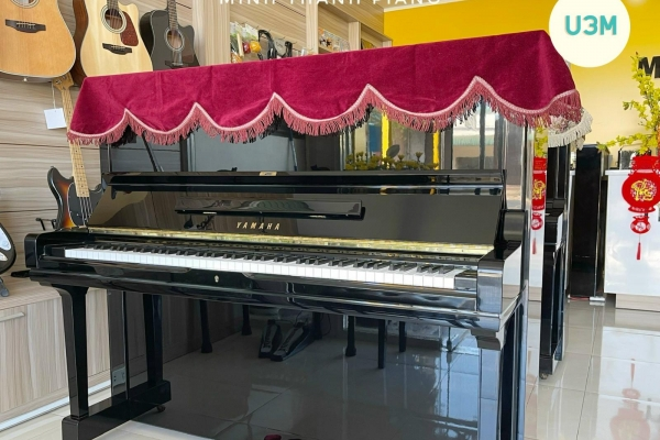 So sánh đàn piano cơ Kawai và Yamaha: Đâu là sự lựa chọn của đàn Piano cơ cũ?