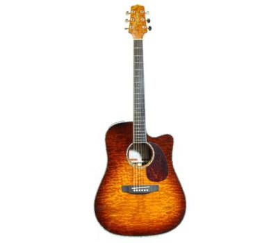 Đàn guitar acoustic Takamine EG333C-LTD