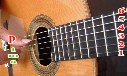 Cách Học Đàn Guitar Nhanh Nhất Cho Người Mới Học